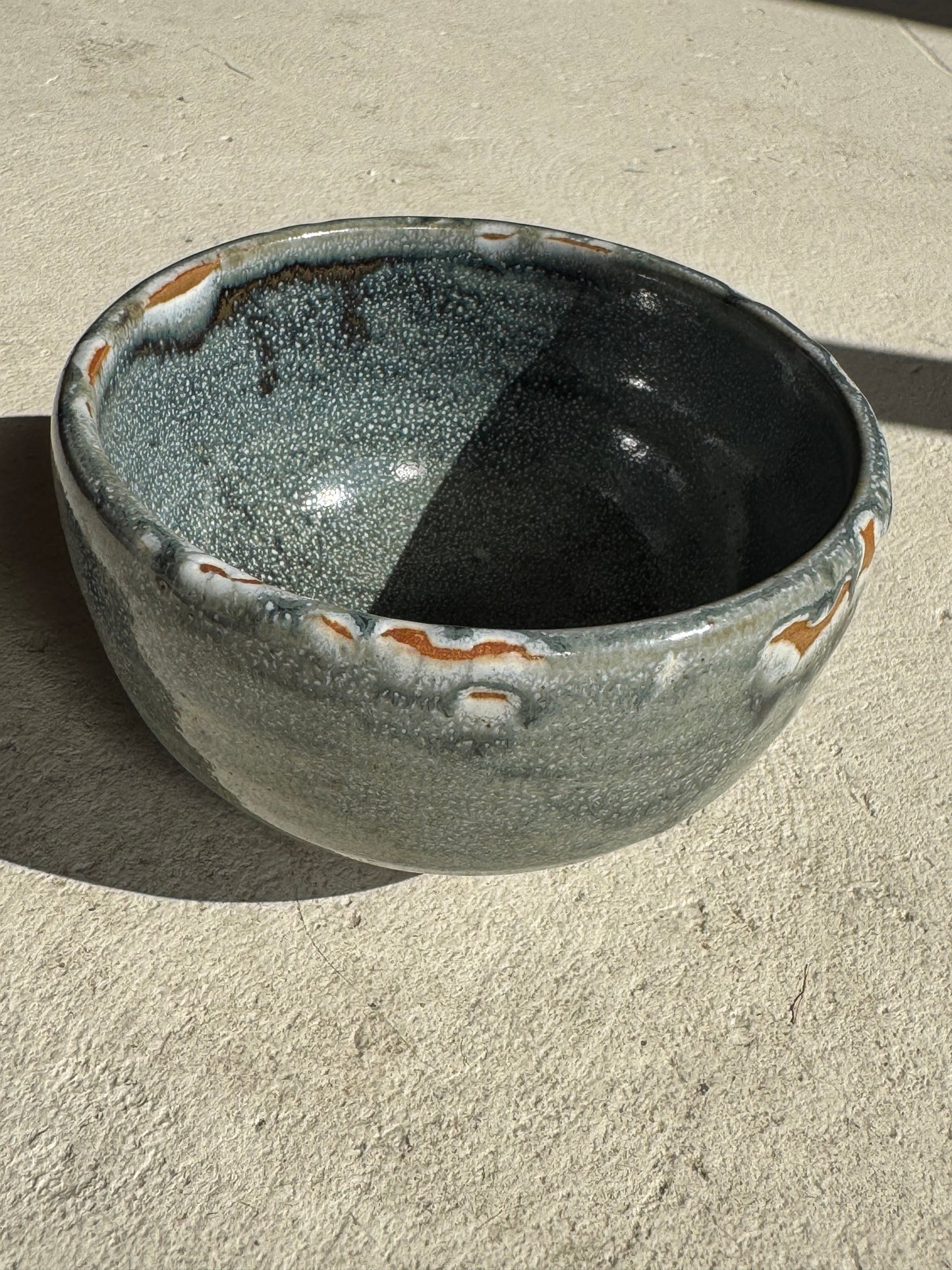 Japanese bowl sea moss