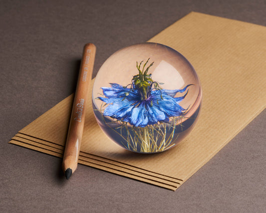 Nigella Flower Paperweight