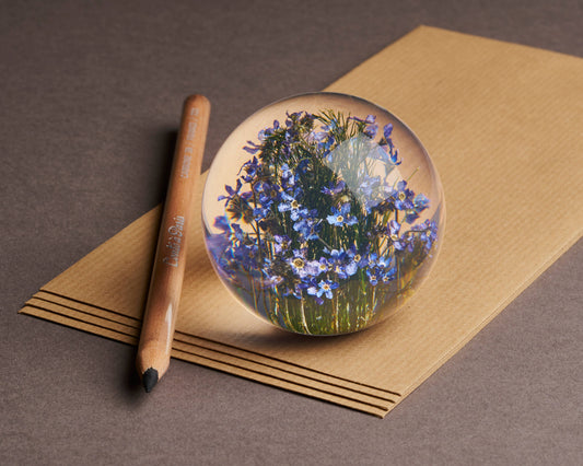 Forget me Not paperweight