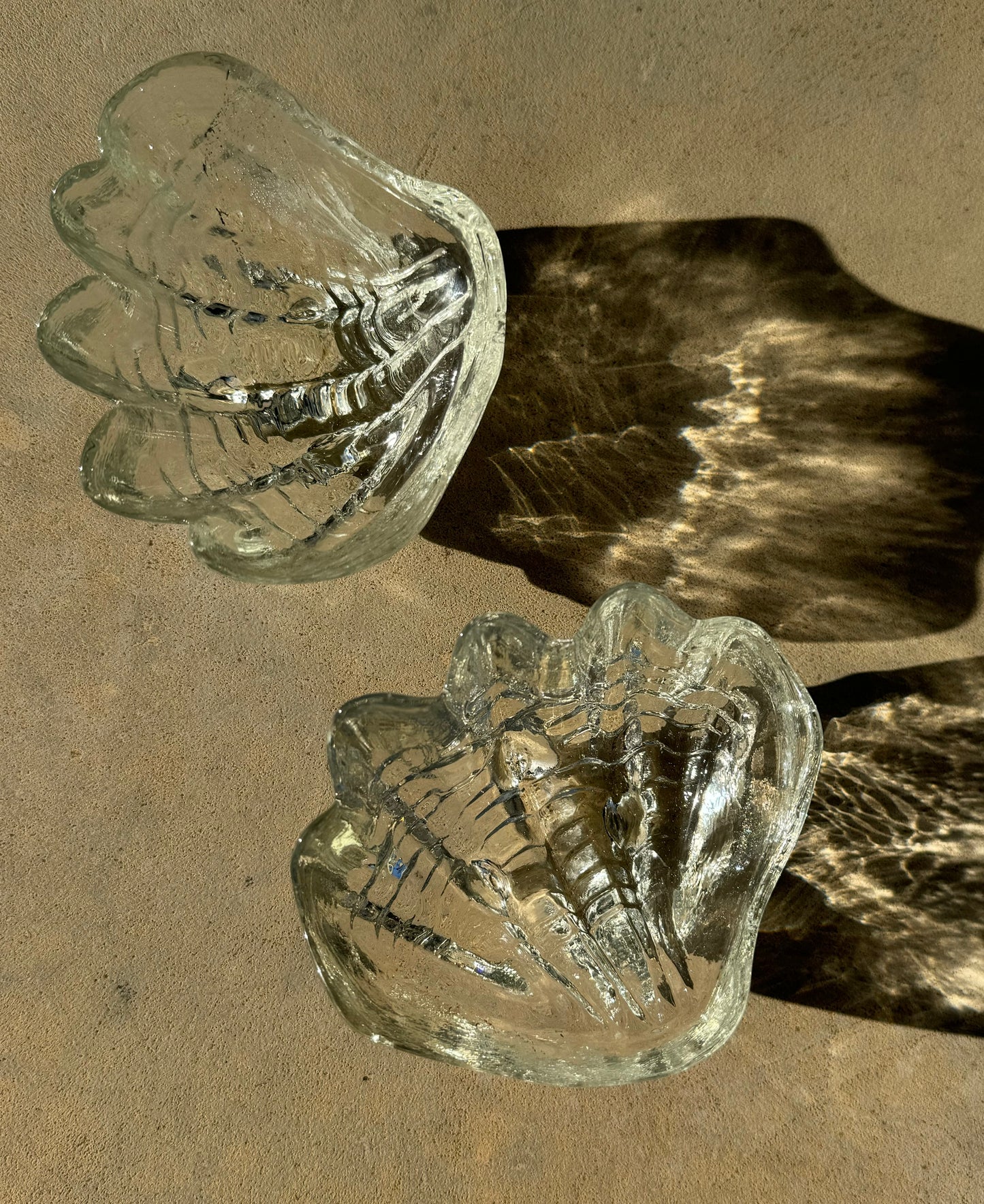 GLASS CLAM BOWLS