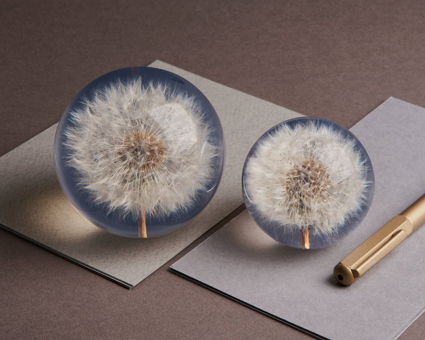 Dandelion Paperweight